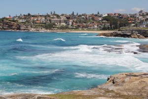 Bondi Beach 7