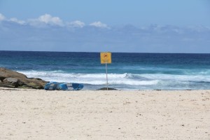 Bondi Beach 8