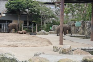 Zoo 3