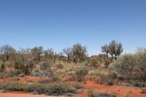 Uluru yol 3