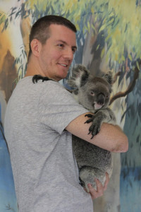 koala 1